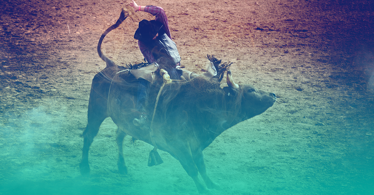 Pendleton Whisky Velocity Tour: PBR - Professional Bull Riders